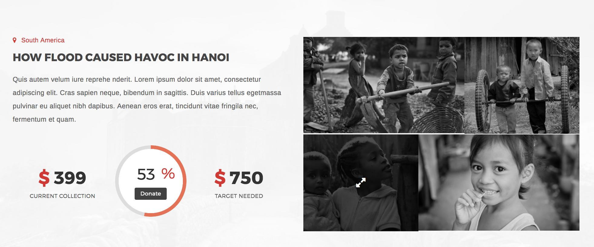 Lifeline 2 - Nonprofit WordPress Theme