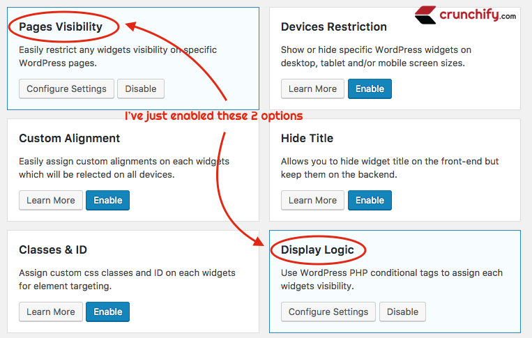 Widget Options enable only Pages Visibility and Dispaly Logic Options