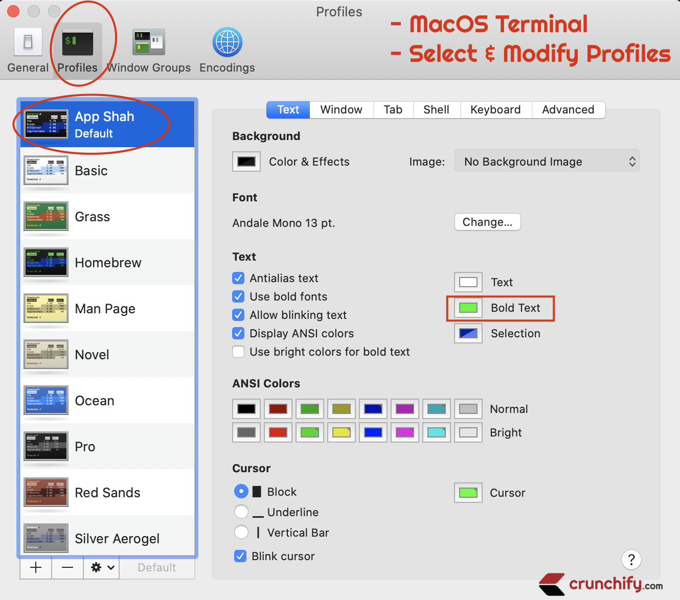 How to Change MacOS Terminal Color? • Crunchify